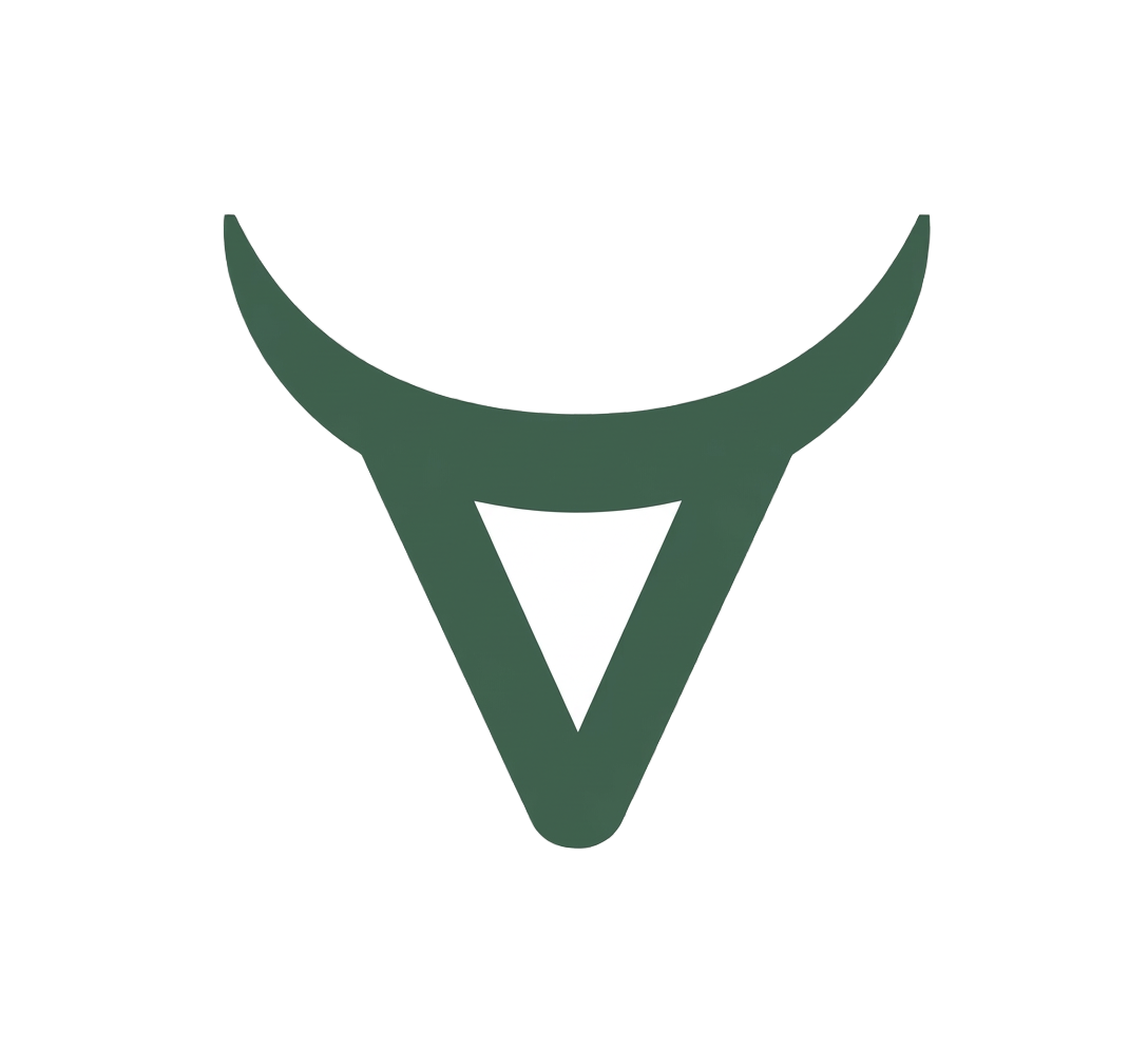 Convexity Ventures